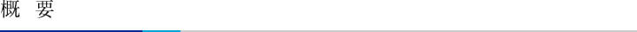 概要