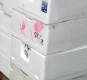 発泡スチロール