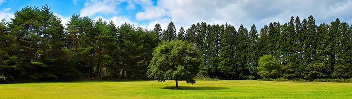 資源物のトレーディング